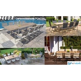 Zebra Technologies Pontiac Stapelsessel 58 x 62 x 88 cm argenta