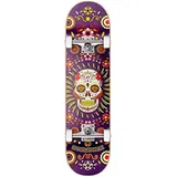 Hydroponic Centrano Unisex – Erwachsene Hydroponic Skateboard Komplettboard, Purple Skull, 8.125"