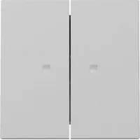 Gira Wippe 2fach mit Kontrollfenster, grau matt