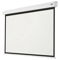 Celexon Batterie Leinwand V2.0 Motor Professional Plus