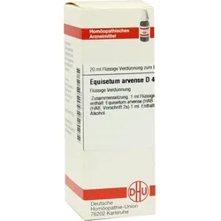 Equisetum Arv D 4 20 ML