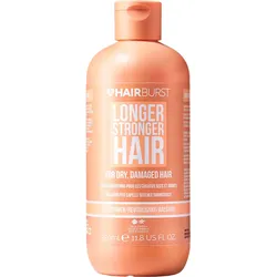 Conditioner für trockenes Haar (350 Milliliter)
