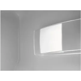 AEG TF5OS882ES Einbaukühlschrank (124 l, 880 mm hoch)