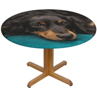 Dackel Hund Bedruckte Runde Tischdecke - Elastische Kanten Angepasste Tischdecke Rund 122 cm Wasserdicht Faltenfrei Tischdecke