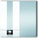 WOLF-Garten Gas-Brennwertkessel CGW-2-24/140 24 kW