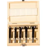 Fischer Forstnerbohrer D-WFo Set 5-teilig
