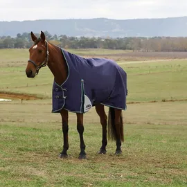 Weatherbeeta Comfitec Plus Dynamic Turnout High Neck 220g, 150