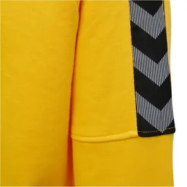 hummel Authentic Training Sweat Kinder Sports Yellow 164