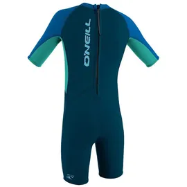 O'Neill Wetsuits Kinder Reactor Wetsuit, Slate/Sky/Ocean, 6
