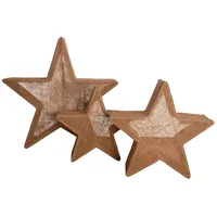 NÄVE Weihnachtsstern 48 cm braun
