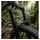 RockShox Federgabel 29" Pike Ultimate Charger 3.1 RC2 130 mm Debonair+