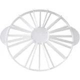 Dr. Oetker Torteneinteiler 12/16 Stücke 30x24,5x2,6cm Kunststoff Pp Weiß