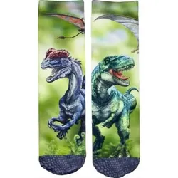 COPPENRATH 15920 Socken T-Rex World, one size (Gr. 26-36)