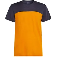 Icebreaker Herren Cool-Lite Sphere III Colour Block T-Shirt (Größe L