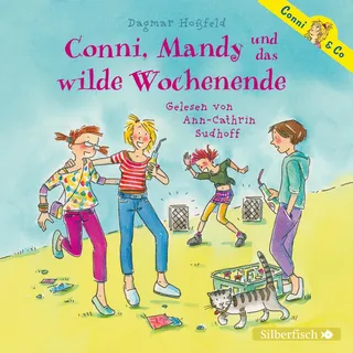 Conni & Co 13: Conni, Mandy und das wilde Wochenende: 2 CDs (13)