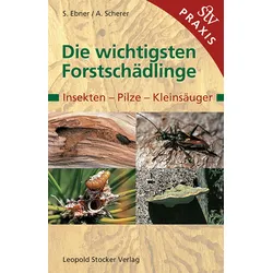 Die wichtigsten Forstschädlinge – Insekten, Pilze, Kleinsäuger
