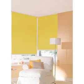 SUNLINES Seitenzugrollo One size Style uni 62 x 180 cm grün