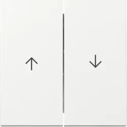 Gira 329403 Wippe 2f Pfeil System 55 Reinweiß