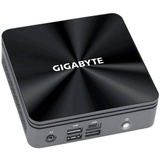 Gigabyte Barebone GB-BRI3-10110 Intel® CoreTM i3 i3-10110U FreeDOS GB-BRI3-10110