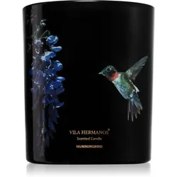 Vila Hermanos Jungletopia Hummingbird Duftkerze 200 g