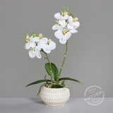 Kunstblume Orchidee - weiß