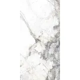 Euro Stone Bodenfliese Feinsteinzeug Caldera Silber 60 x 120 cm