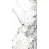 Euro Stone Bodenfliese Feinsteinzeug Caldera Silber 60 x 120 cm