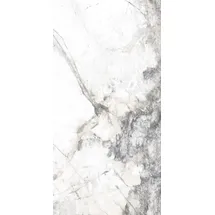 Euro Stone Bodenfliese Feinsteinzeug Caldera Silber 60 x 120 cm