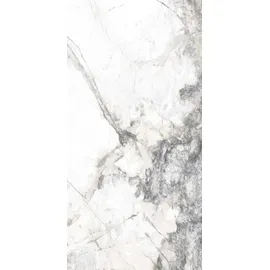 Euro Stone Bodenfliese Feinsteinzeug Caldera Silber 60 x 120 cm