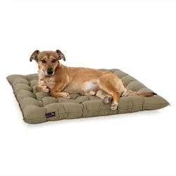 Doctor Bark Pointer Urban Kissen sandbraun L