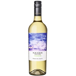 Kaiken Terroir Series Torrontés 2023