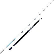 WFT Bootsrute Norwegenrute Meeresrute - Sen Sea 25lbs 2,10m 30-300g