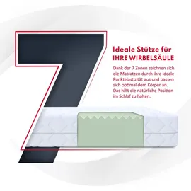 Fdm PICCHI Kaltschaum 120 x 200 cm H3