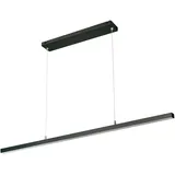 naber gmbh Asta Farbwechsel LED 23,2 W 150 cm schwarz matt