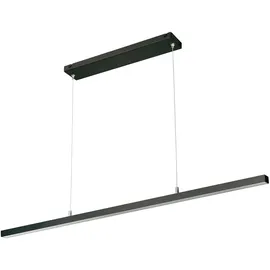 naber gmbh Asta Farbwechsel LED 23,2 W 150 cm schwarz matt