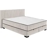 ed lifestyle Boxbett NAGOL