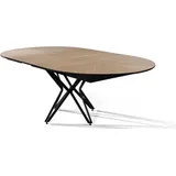 xl moebel gmbh Runder Esszimmertisch 130 x 79 x 130 cm braun