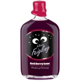 Kleiner Feigling Red Berry Sour 15% Vol. 0,5 l