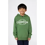 Champion Hoodie Green XL