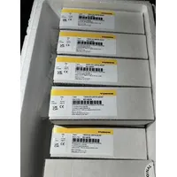 Turck TBEN-S2-2RFID-4DXP