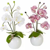 Kunstpflanze Orchidee Orchidee, I.GE.A., Höhe 35 cm weiß