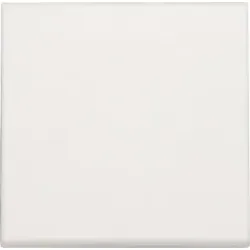 Niko Züblin 101-31002 Abdeckung für einen einzelnen elektronischen Schalter oder Taster, white 10131002