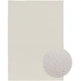 Primaflor Schlingenteppich "DAISY, Schlinge, Made in Belgium", beige (creme), B:200cm H:7mm L:290cm, Polypropylen, PRIMAFLOR-IDEEN IN TEXTIL, Teppiche, meliert oder Uni Farben, strapazierfähig, waschbar