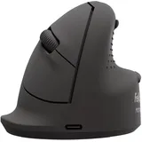 Fellowes Breyta Plus schwarz