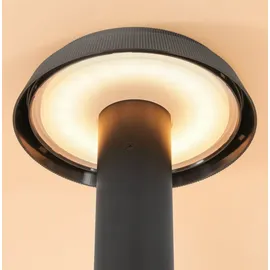 esotec Sockelleuchte Edelstahl/Glas/Kunststoff/Metall 70 cm inkl. Bewegungsmelder schwarz