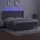 vidaXL Boxspringbett mit Matratze & LED Hellgrau 160x200 cm Samt