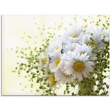 Artland Glasbild »Gänseblümchen und Hofstaat«, Blumen, (1 St.), weiß