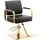 Physa Friseurstuhl mit Fußstütze 50 66 cm 200 kg Schwarz, Golden - Friseurstühle physa