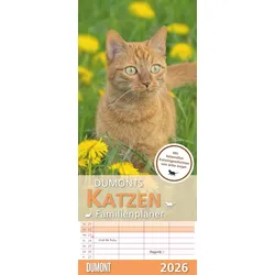 Dumonts Katzen Kalender - Kalender 2026