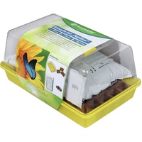 Floraworld Anzucht-Set "PAPILLON" comfort